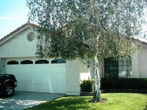 26112S.F.JPG